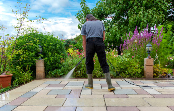 Best Driveway Pressure Washing  in Amherst, TX