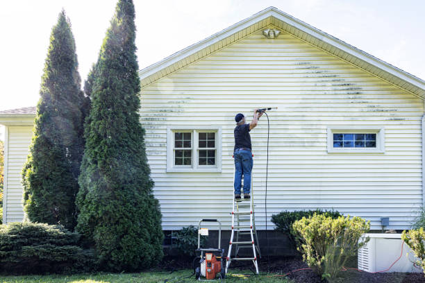 Best Patio and Deck Pressure Washing  in Amherst, TX
